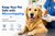 Keep Your Pet Safe with Microchipping