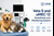 Veta 5 and uMEC 12 Anesthesia Monitoring