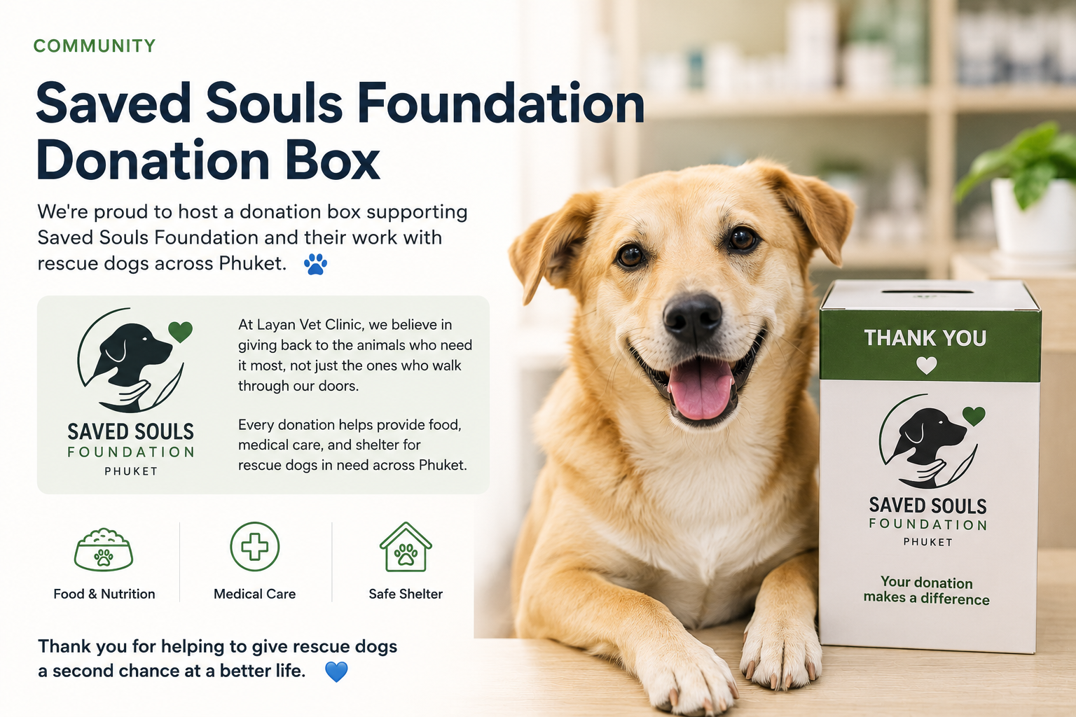 Saved Souls Foundation Donation Box